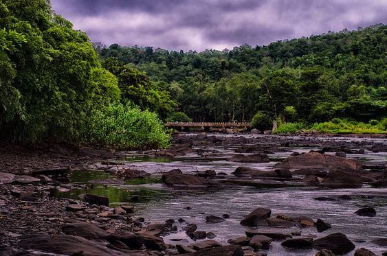 River Kali