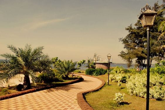 Rock Garden