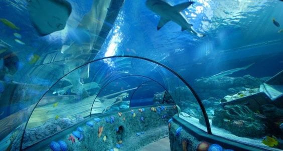 Sea Life Scheveningen