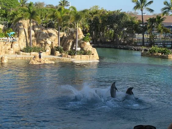 Sea World Gold Coast
