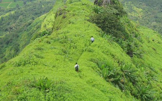 Shinde Wadi Hills