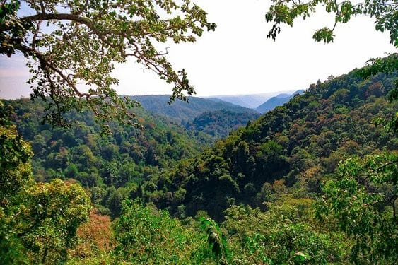 Shiroli Peak
