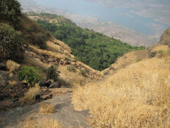 Shivaji's Ladder