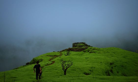 Shrivardhan Fort