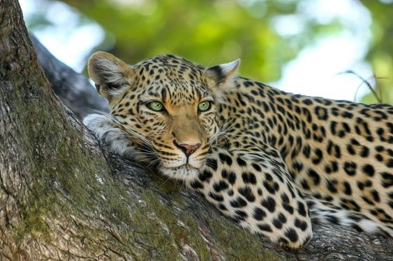 Siddharth Garden and Zoo