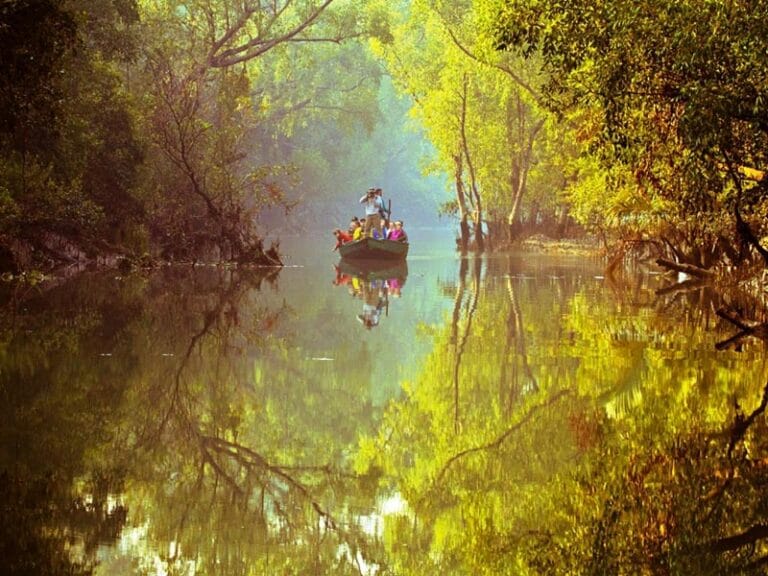 Sunderbans - places to visit in Sunderbans