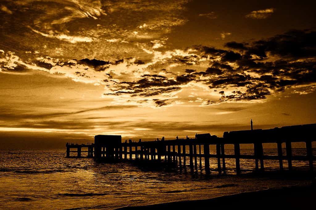 Thiruvananthapuram - places to visit in Thiruvananthapuram