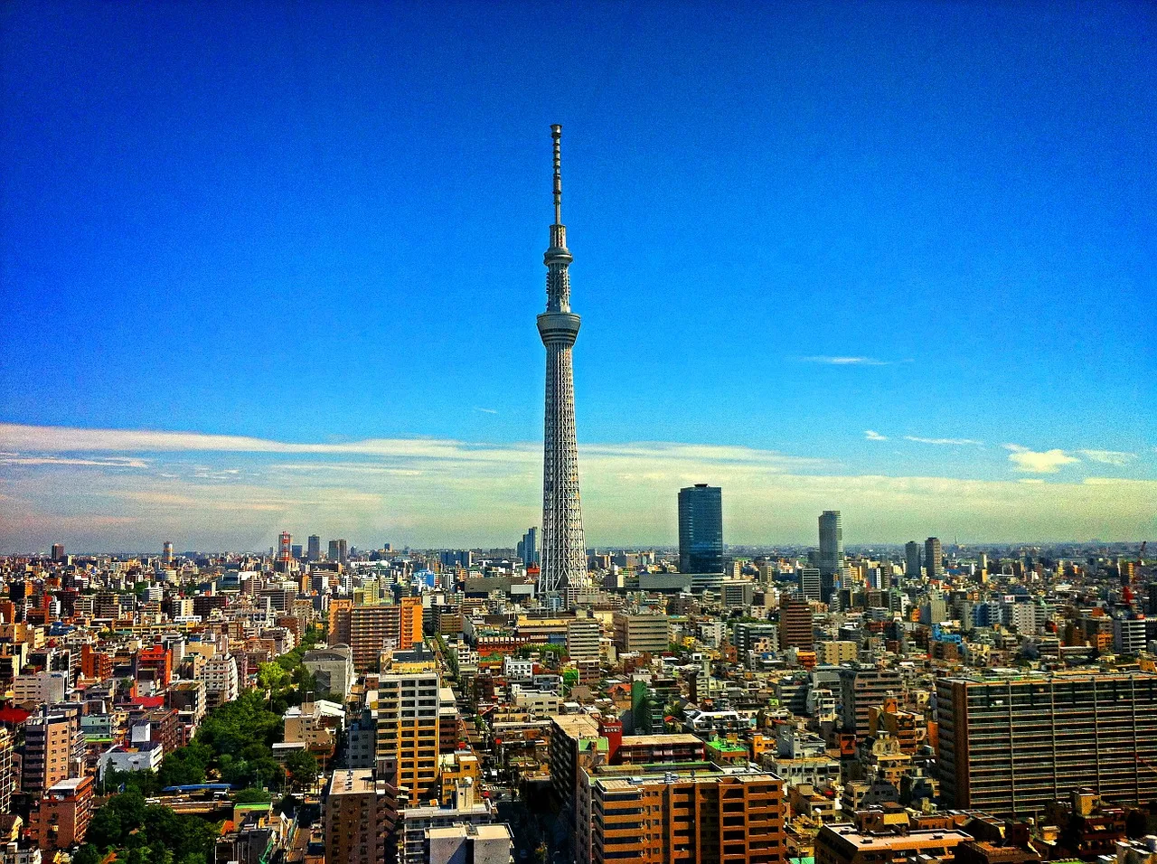 Tokyo - places to visit in Tokyo
