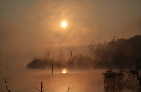 Tunga River Backwaters