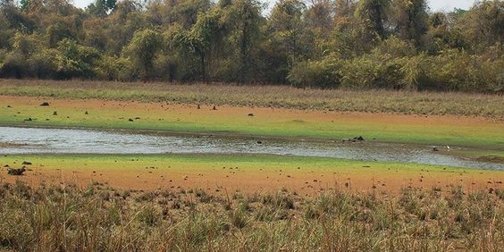 Urjanagar Lake