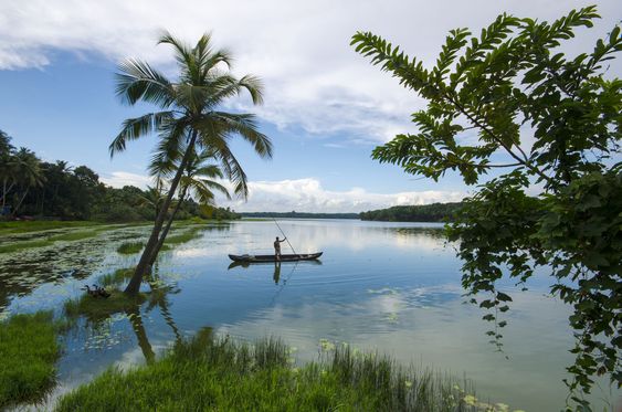 Vellayani Lake