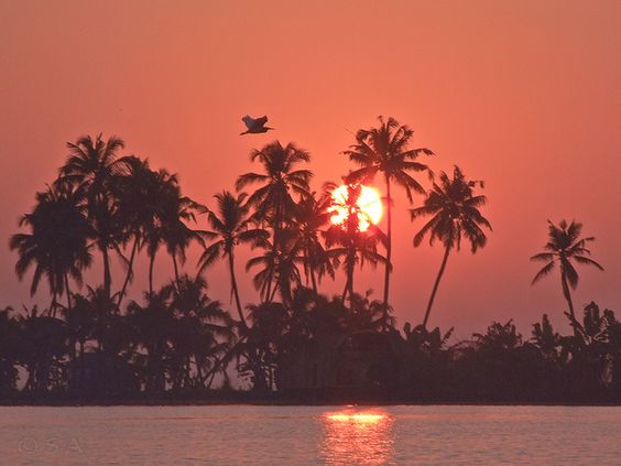 Vembanad Lake