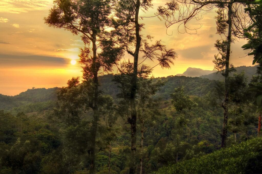 Vythiri - places to visit in Vythiri