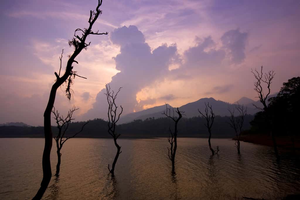Wayanad - places to visit in Wayanad