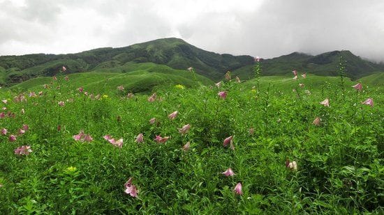 Yangkhullen