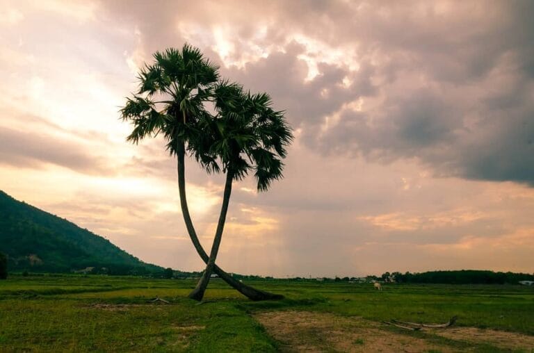 Amalapuram - places, sights, best time to visit