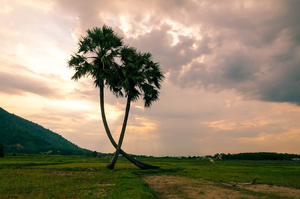 Amalapuram - places, sights, best time to visit