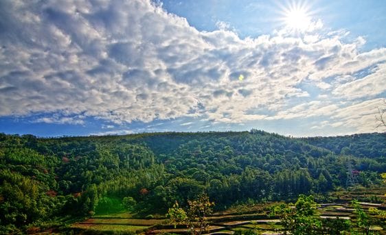 Ananthagiri Hills