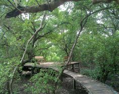 Coringa Wildlife Sanctuary