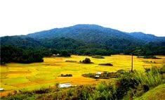 Dilopolyang Maniipolyang