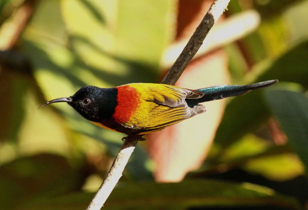 Bomdila - places, sights, best time to visit