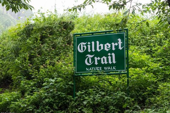 Gilbert Nature Trail