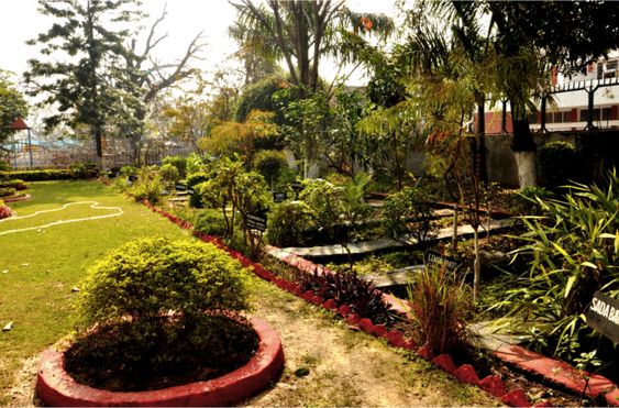 Herbal Garden