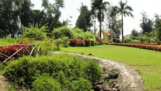 Hirwa Van Garden