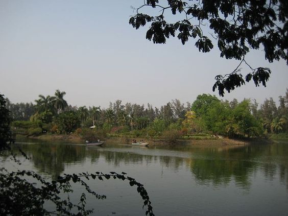 Island Garden