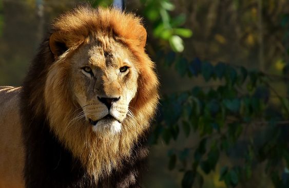 Jambughoda Wildlife Sanctuary
