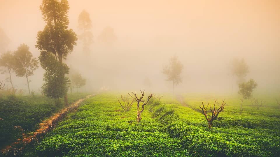 Jorhat - places, sights, best time to visit