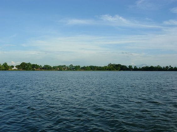 Joysagar