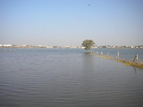 Lal Pari Lake and Randerda