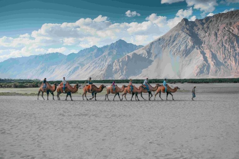 Leh - places, sights, best time to visit