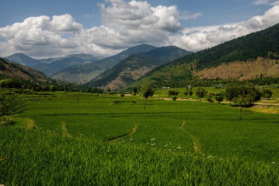 Lolab Valley