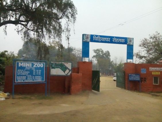 Rohtak Zoo (Tilyar Mini Zoo)