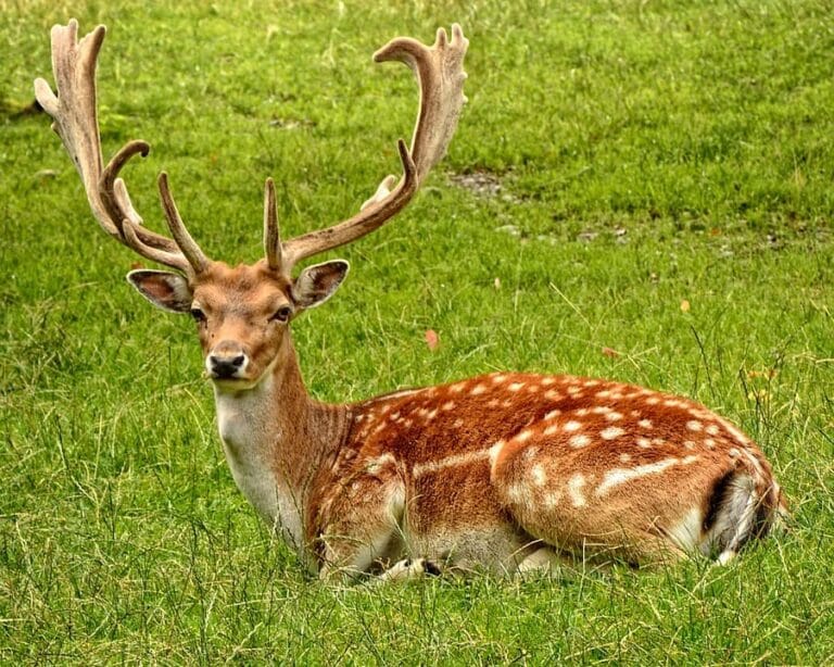 Silvassa - places, sights, best time to visit