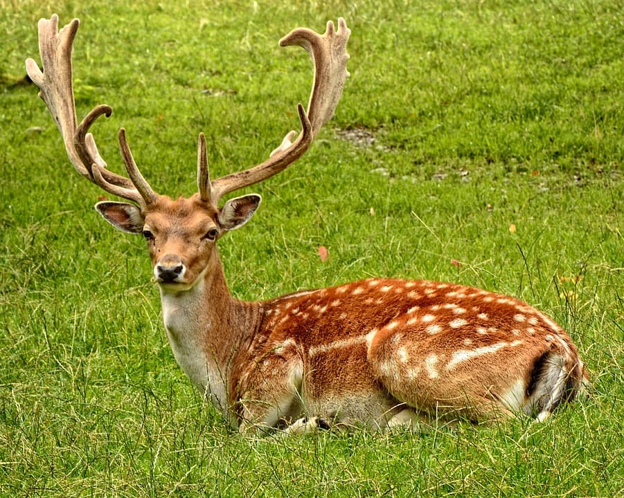 Silvassa - places, sights, best time to visit