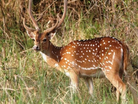 Semarsot Wildlife Sanctuary