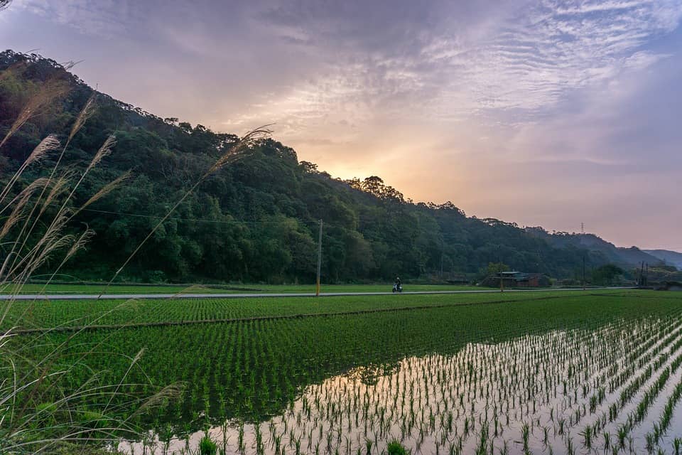 Sualkuchi - places, sights, best time to visit in 2025