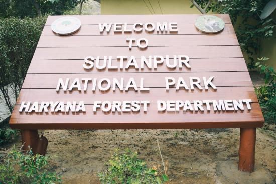 Sultanpur National Park