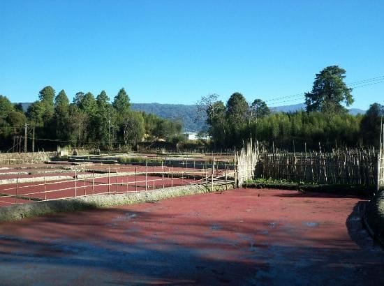 Tarin Fish Farm