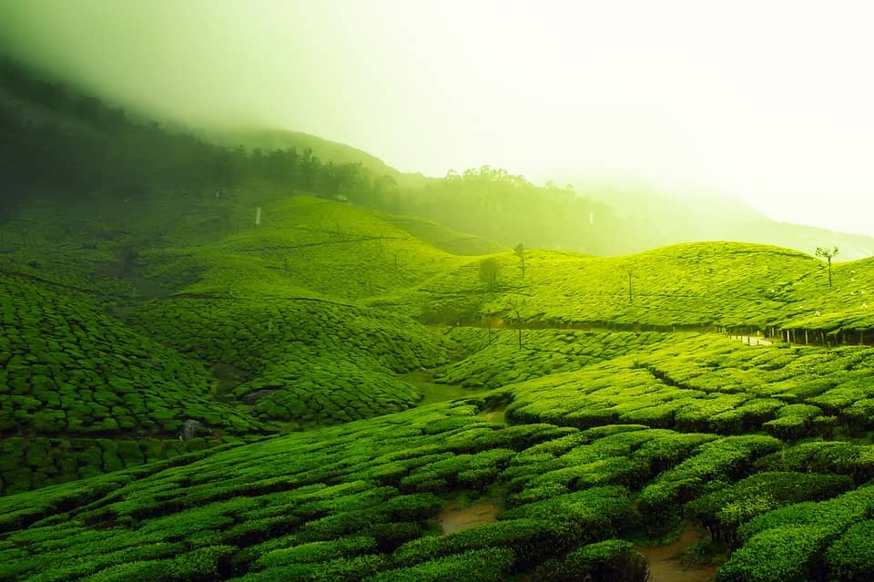 Tezpur - places, sights, best time to visit