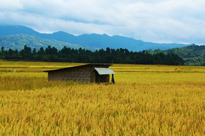 Ziro - places, sights, best time to visit
